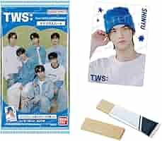 TWS ウエハース　2箱　40個 TWS From PLEDIS ENTERTAINMENT ツインウエハース （食玩） BOX