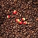 KonaRed Certified 100% Kona Coffee -Ground- Single Estate, Hawaiian Grown in the USA Medium Roast, Fat Free, Dairy Free, Sugar Free (1lb)
