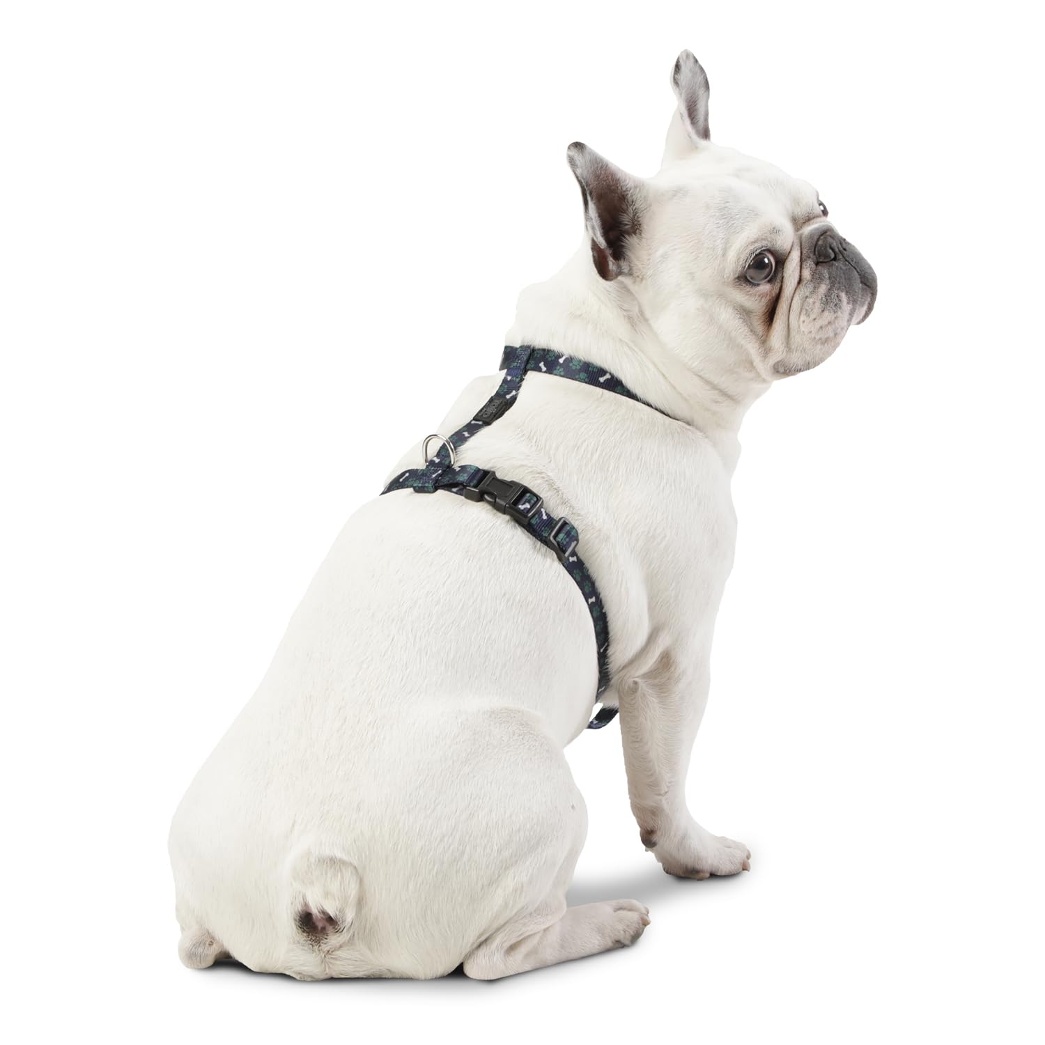 TOTTO, Small Dog Harness, Model Figgo, Size S, Dog Breastplate, H-Type Design, Adjustable, Reduces Pressure in Trachea - Image 3