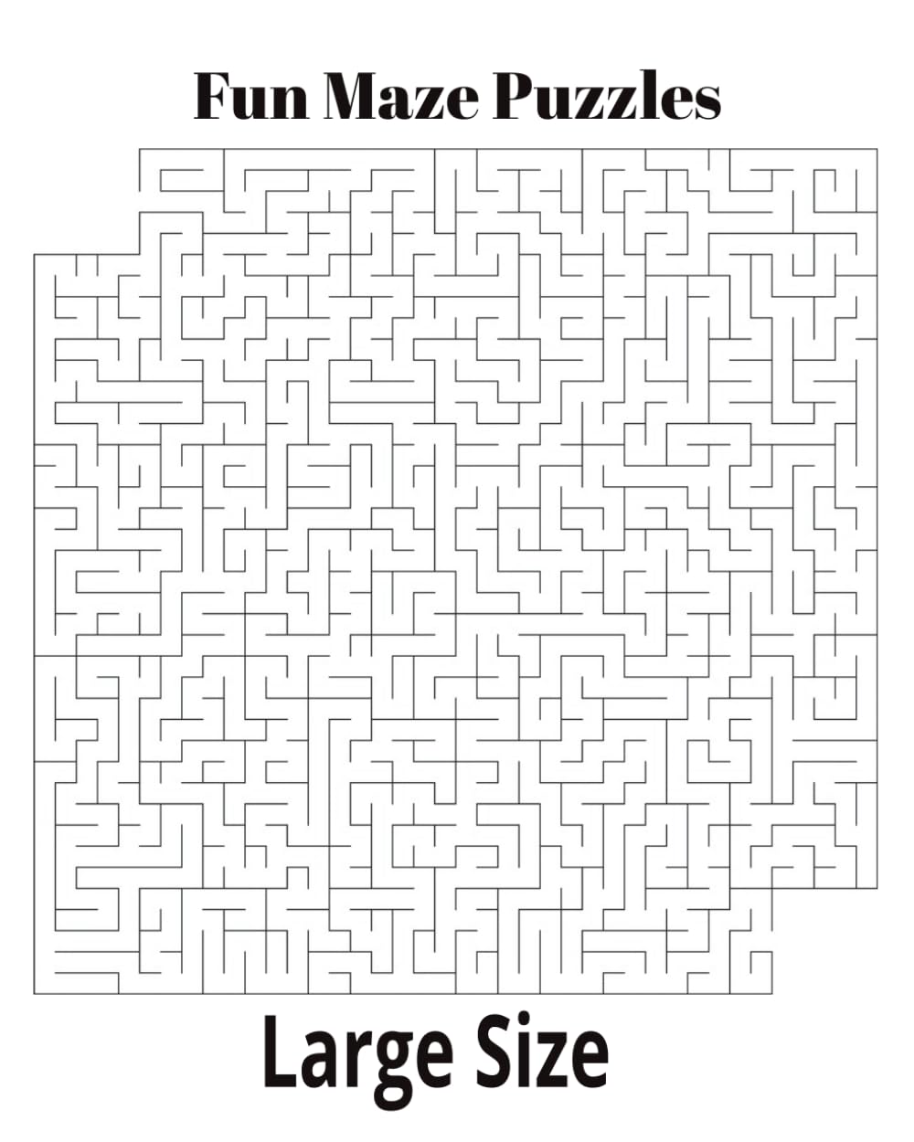 Fun Maze Puzzles: Large Size