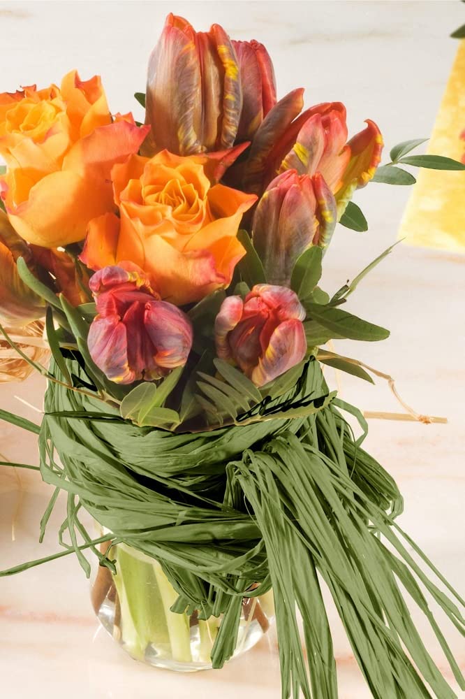 Rafia Naturale Meister 50g - Per Decorazioni, Legatura Piante E Regali, Materiale Ecologico E Resistente