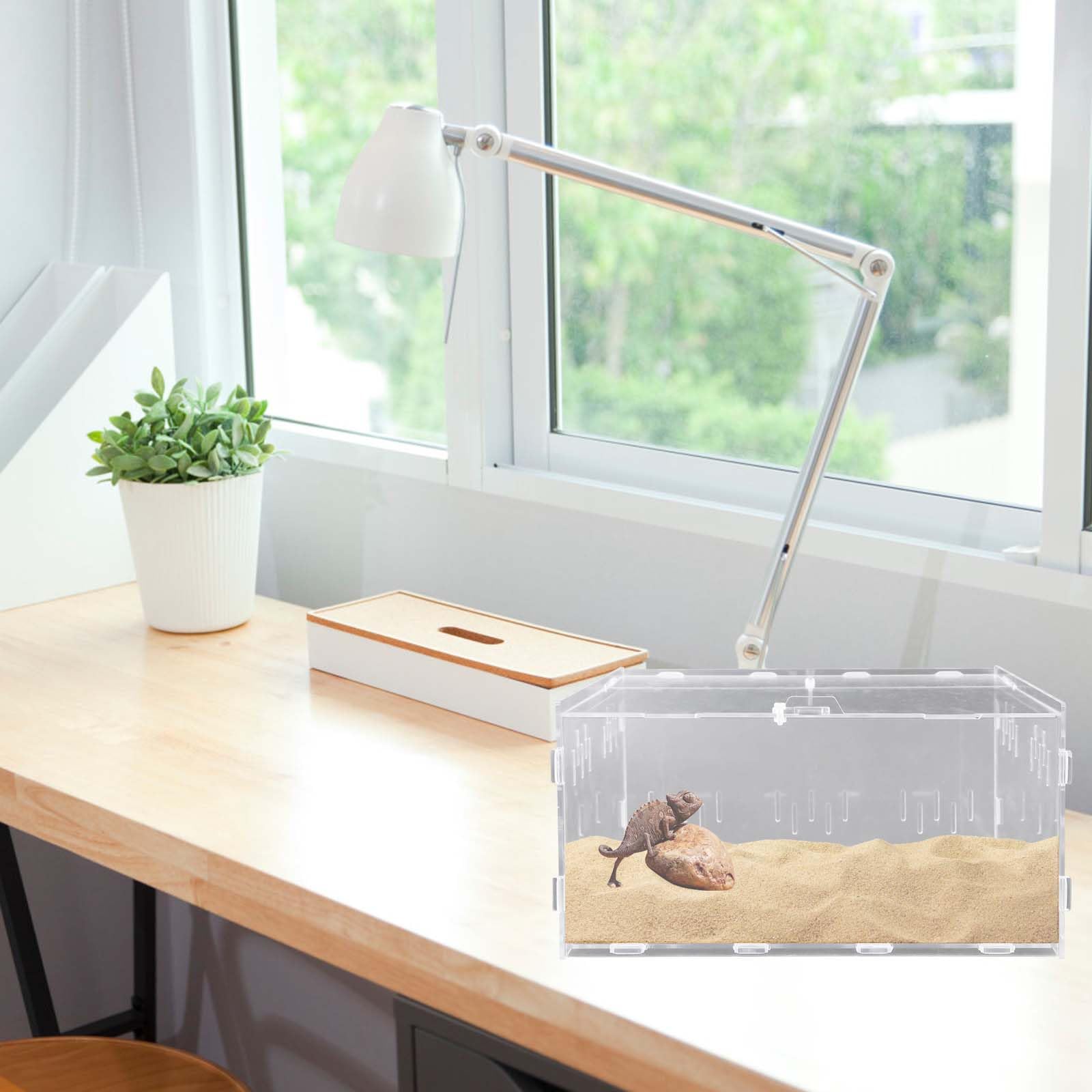 Boîte d'alimentation en acrylique pour reptiles, escargots, terrariums et insectes - Boîte de transport pour tortues d'eau, araignées, hamsters et ermites