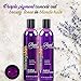 Purple Shampoo and Conditioner No Yellow Set - Natural Sulfate Free - Brassy, Silver and Color Treated Hair Moisturizer - Natural Aloe Vera and Coconut Oil - Blonde, Grey and Bleached Hair Toner (8oz)