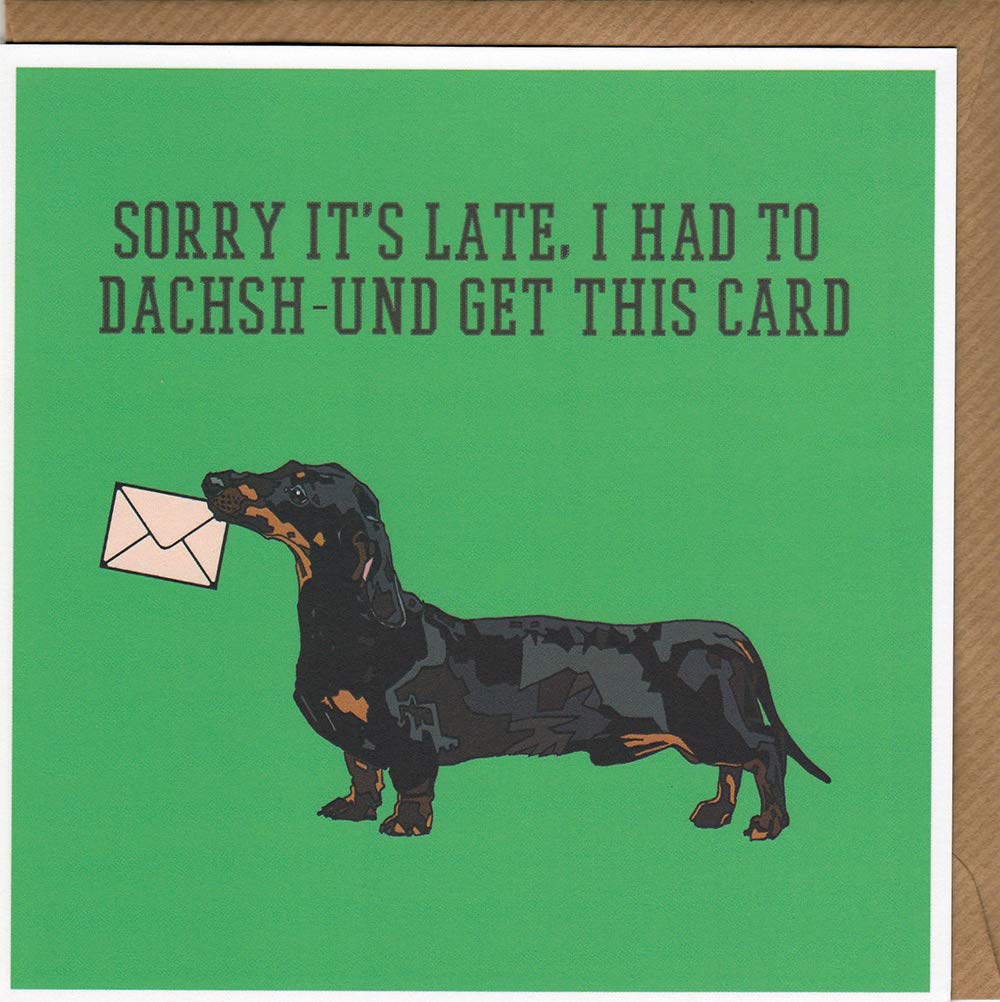 Sorry it's late, I had to dashsh-und get this card - Quirky Dachshund Puppy Birthday Card Hand drawn