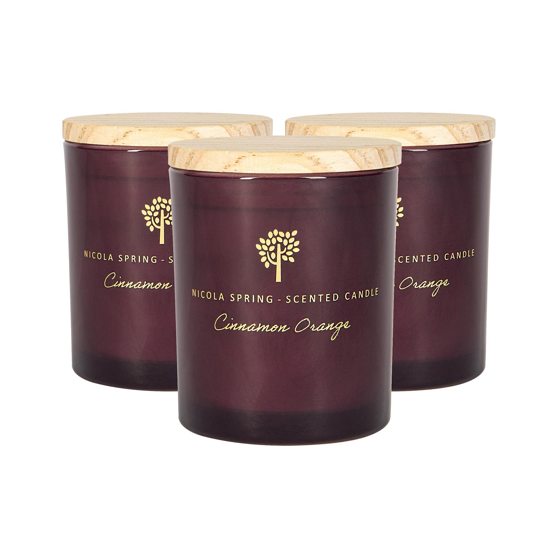 Nicola Spring Soy Wax Scented Candle - 130g - Cinnamon & Orange - Pack of 3 - Purple