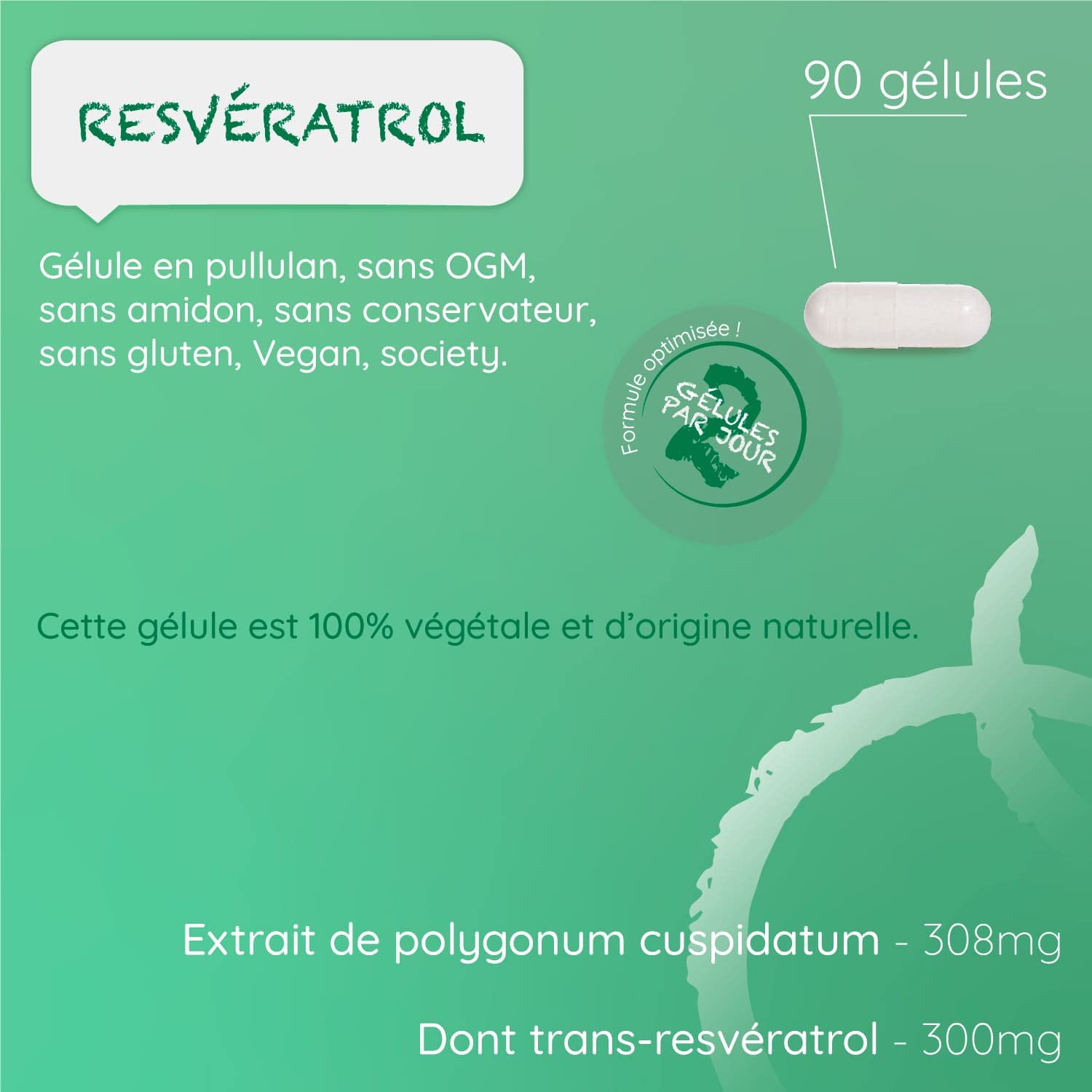 RESVÉRATROL - Complément alimentaire - 300 mg de trans-resvératrol pour 2 gélules - 90 gélules
