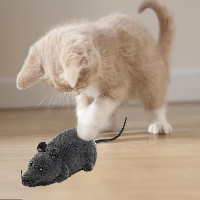 Foto 3 de 7 de Ndier Juguete para Gatos con Ratón A Control Remoto