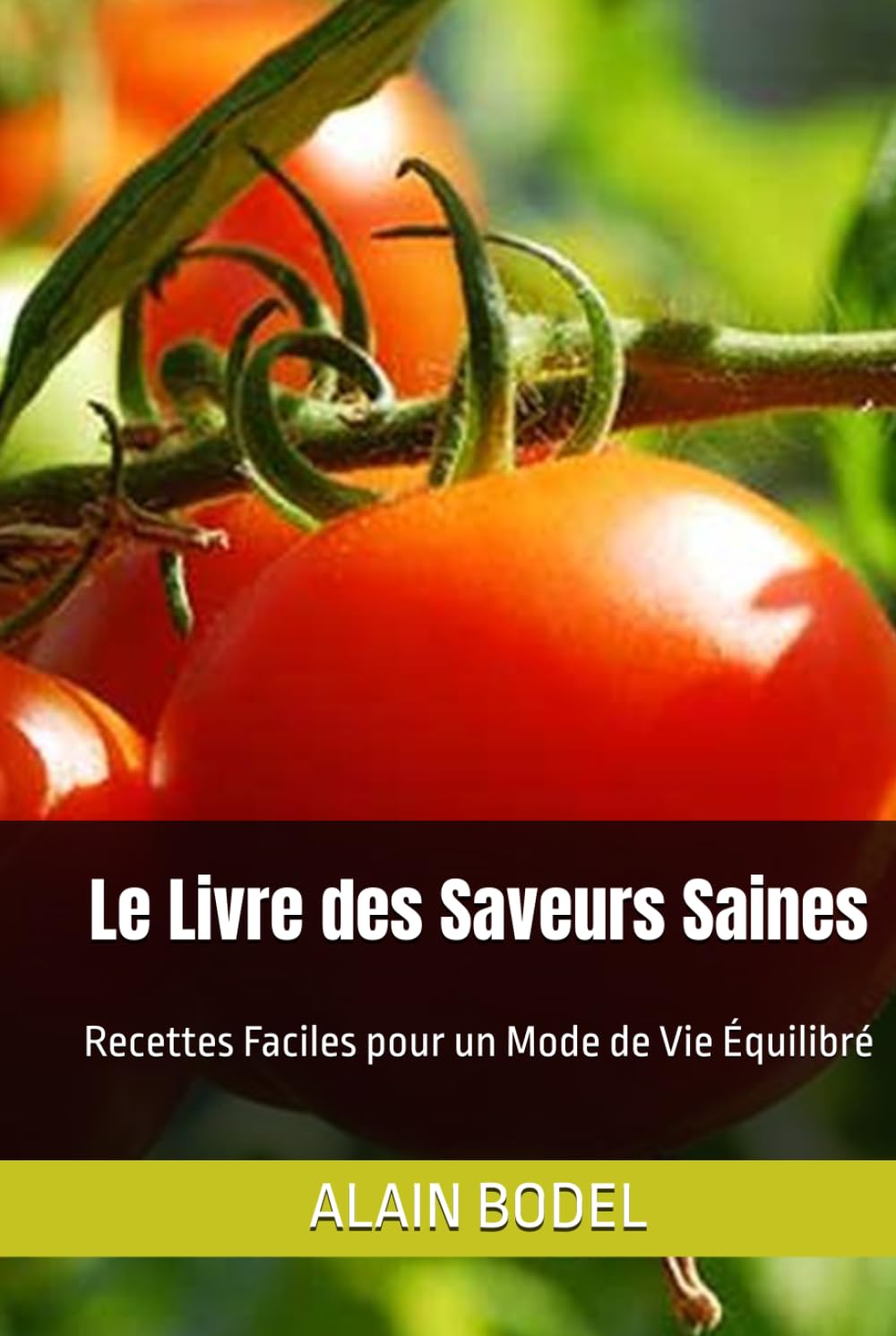 Le Livre des Saveurs Saines: Recettes Faciles pour un Mode de Vie Équilibré