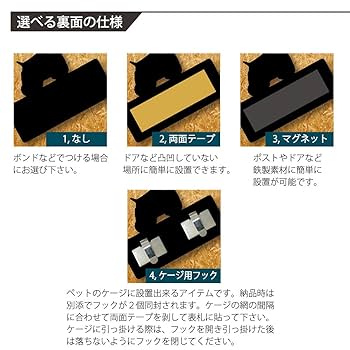 Amazon.co.jp: ENT フトアゴヒゲトカゲ オリジナルペット