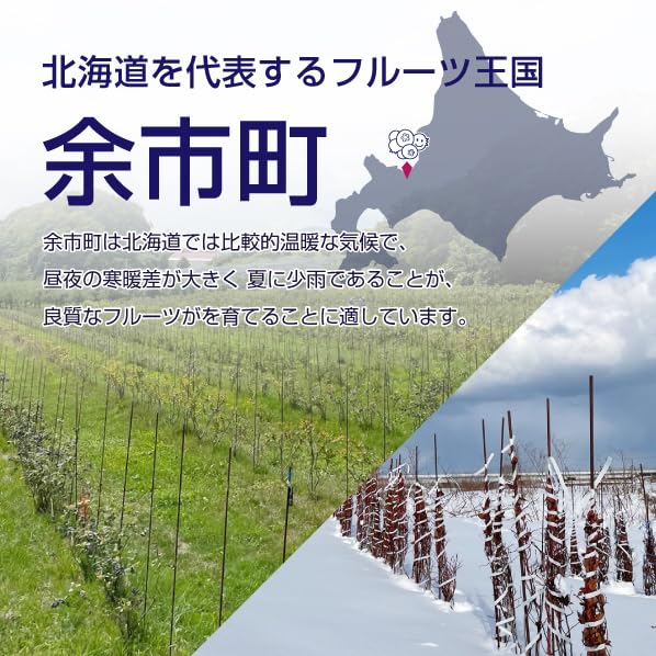 Amazon.co.jp: 【北海道産無農薬】冷凍ブルーベリー 残留農薬検査済み