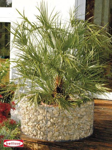 Bellissa - Parterre sobreelevado redondo Gabione (40 cm de alto, Ø 92 cm) Cover