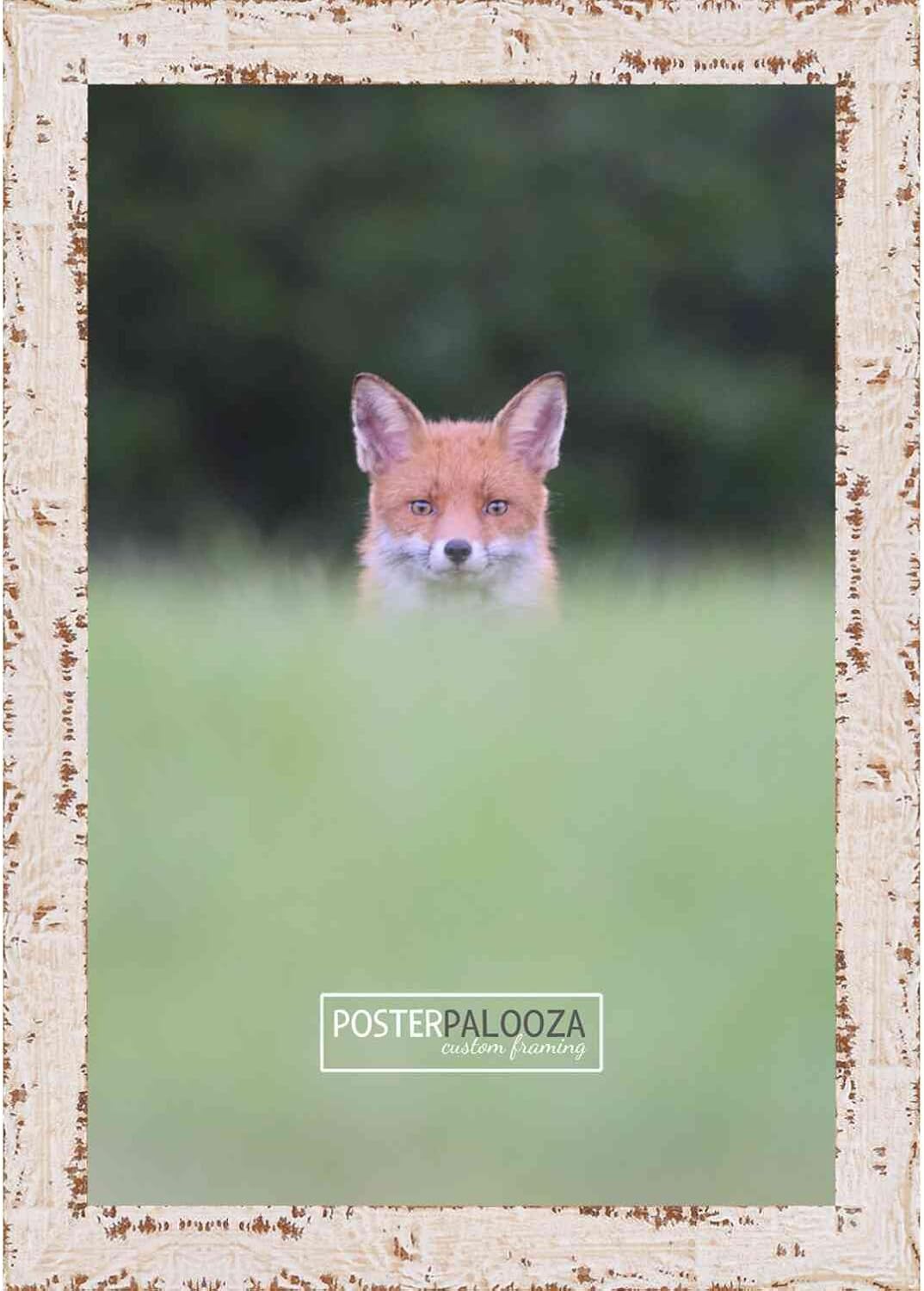 ポスター パルーザ 4x8インチ シャビーシック/ファームハウス ホワイト木製写真フレーム - UVアクリル、フォームボードの裏板、