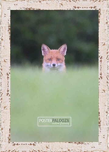 Miniatura 3 de 11.5x16.5 Frame White Rustic Farmhouse - Shabby Chic Wood Picture Frame - Solid Wooden Photo Frame Includes UV Acrylic, Foam Board Backing, &