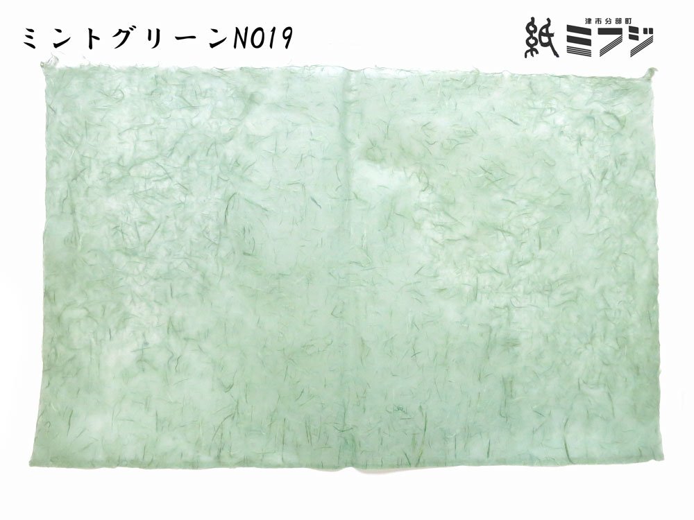 Amazon | 【和紙】雲龍紙（手漉き・純楮） ミントグリーン NO19 | 和紙