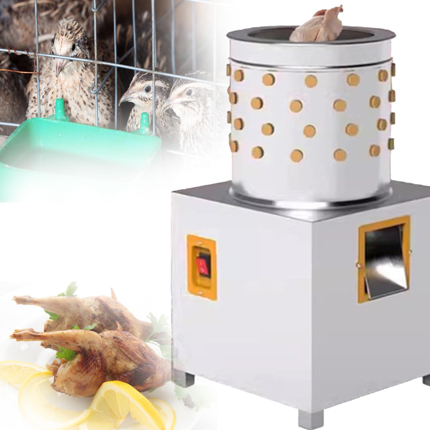 Macchina di spennatura del pollo, 210W automatico del pollo Plucker Machine210w Spennatura macchina De-Feather, piuma rapida, 3-5 capacità di pollo una volta, per quaglia