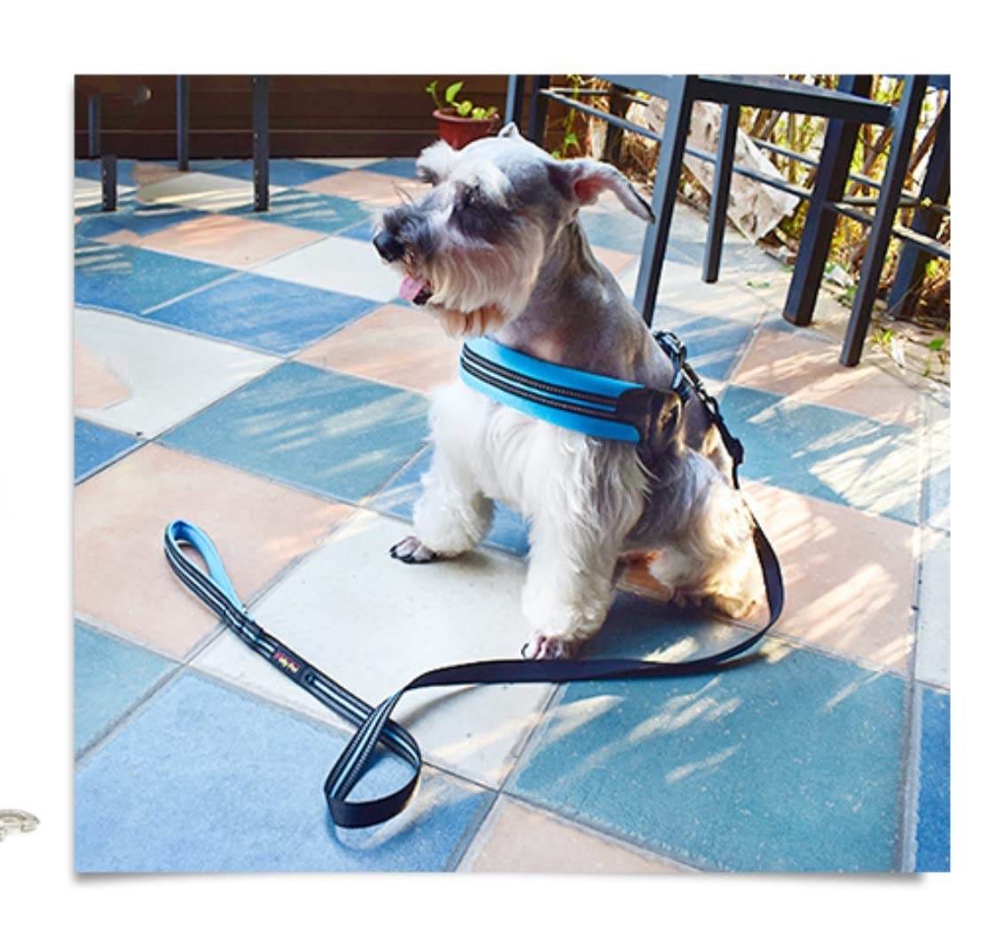 Correa Perro Arnés De Malla De Nailon Transpirable para Perros, Arnés Y Correa Ajustables Reflectantes para Perros, Correa para Mascotas Correa Perro Suave(Blue,50-54cm)