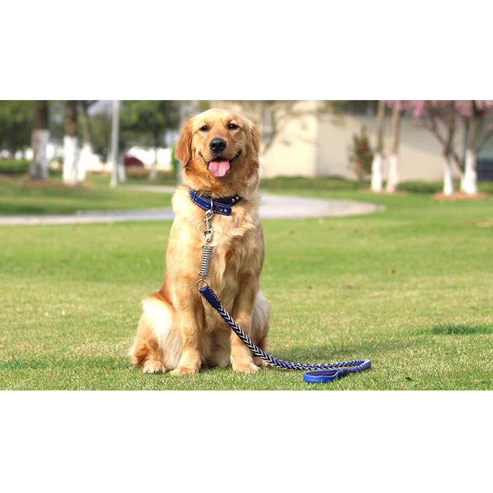 REYG Corde De Laisse pour Animaux De Compagnie à Main,Blue