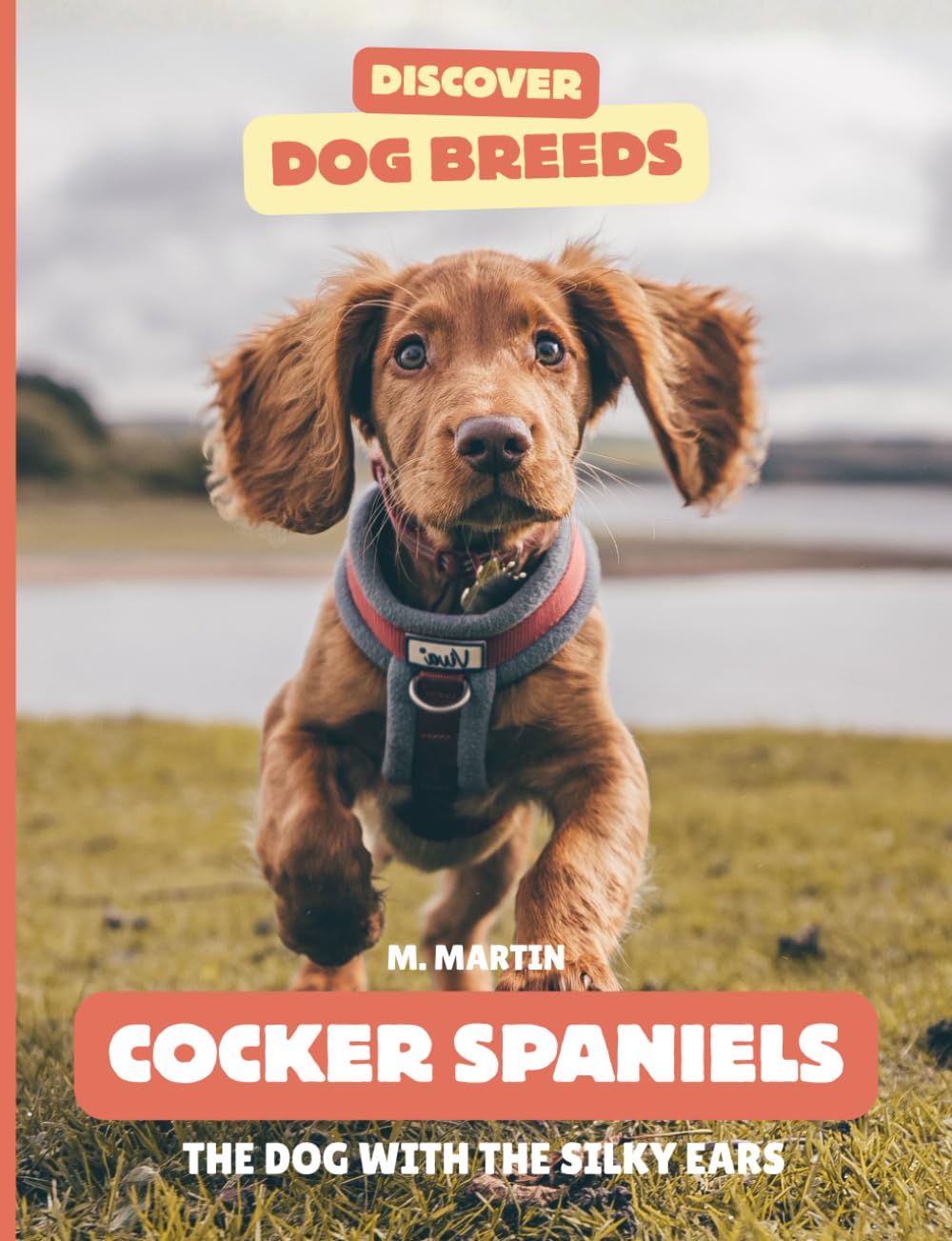 Cocker Spaniels: The Dog With the Silky Ears (Discover Dog Breeds)