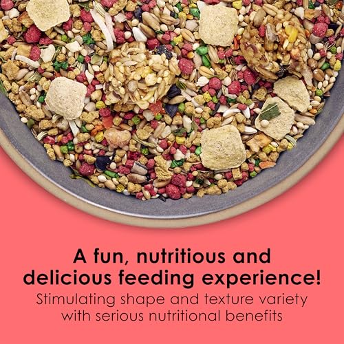 Kaytee Fiesta Parakeet Food, Nutritious and Fun Blend, Supports Skin, Feather, Digestion, Brain and Heart Health, 2 pounds - Image 3