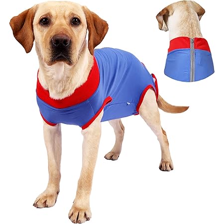 Amazon Tengcong 犬用術後ウェア 犬用 術後服 腹部の傷口保護 傷舐め防止 エリザベスカラーに代わる 避妊手術 皮膚保護 術後カバー服 保護服 雄 雌兼用 M Tcyynek 術後ウェア 通販 Amazon Tengcong 犬用術後ウェア 犬用 術後服 腹部の傷口保護 傷舐め防止 エリザベスカラーに代わる 避妊手術 皮膚保護 術後カバー服 保護服 雄 雌兼用 M Tcyynek 術後ウェア 通販