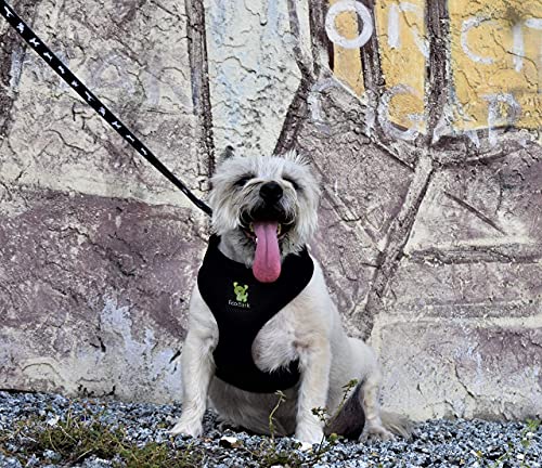 Ecobark Dog Harness - Eco-Friendly Max Comfort Harnesses - Luxurious Soft Mesh Halter - Over The Head Harness Vest- No Pull And No Choke For Puppy, Toy Breeds & Small Dogs (Medium, Black) #TOP3
