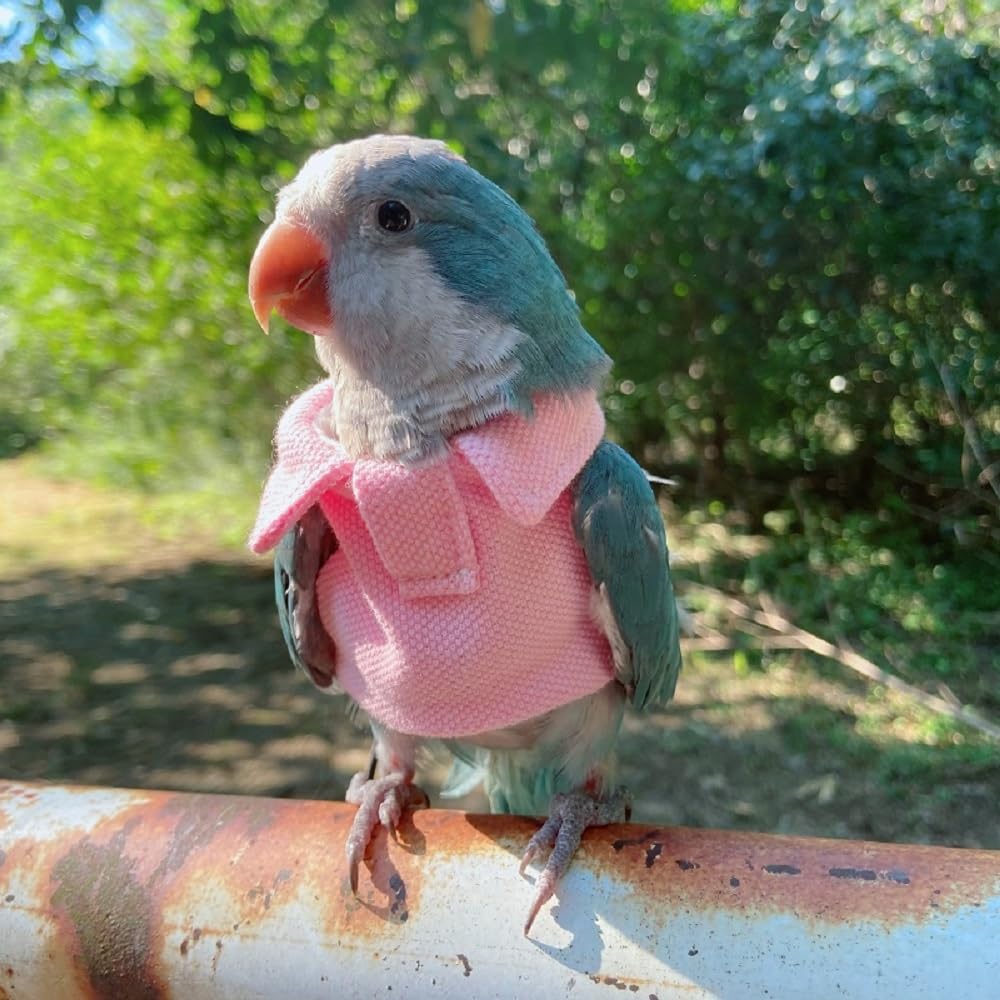 Parrot Bird Supplies, Light Flying Clothes, Warm and Comfortable, Tiger Skin, Green Cheek Parrot, Little Sun Parrot, Monk Parrot, Starling, mynah, Senegal Parrot, Mini Macaw Sweater (2XL)