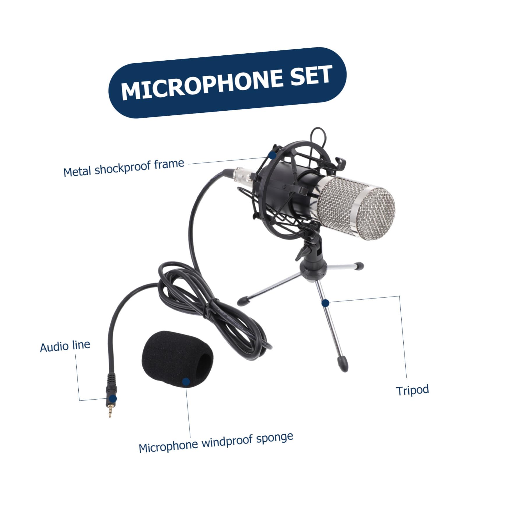 Microfono Condensatore Per Riunioni e Spettacoli Kit Completo Leggero e Compatto Per Ktv e Live Streaming