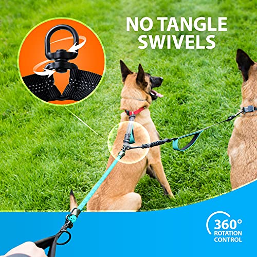 Best Dog Double Leashes Buying Guide Gistgear