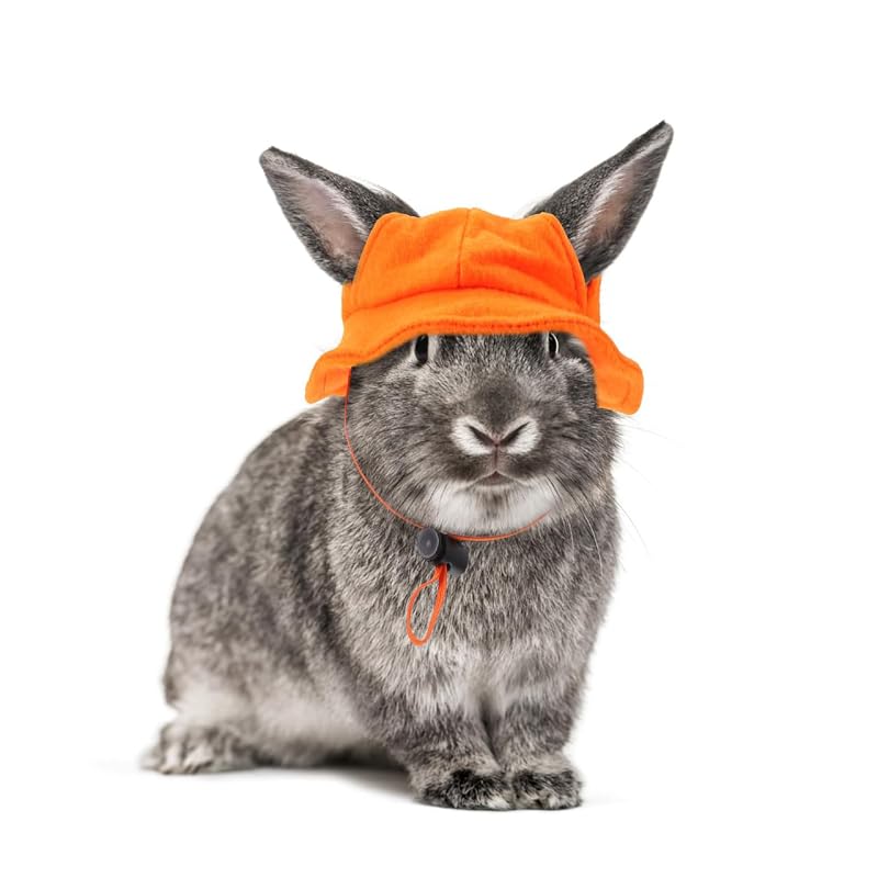 Chapéu para Pequenos Animais POPETPOP em Feltro Amarelo com Tira Ajustável - 1 unidade