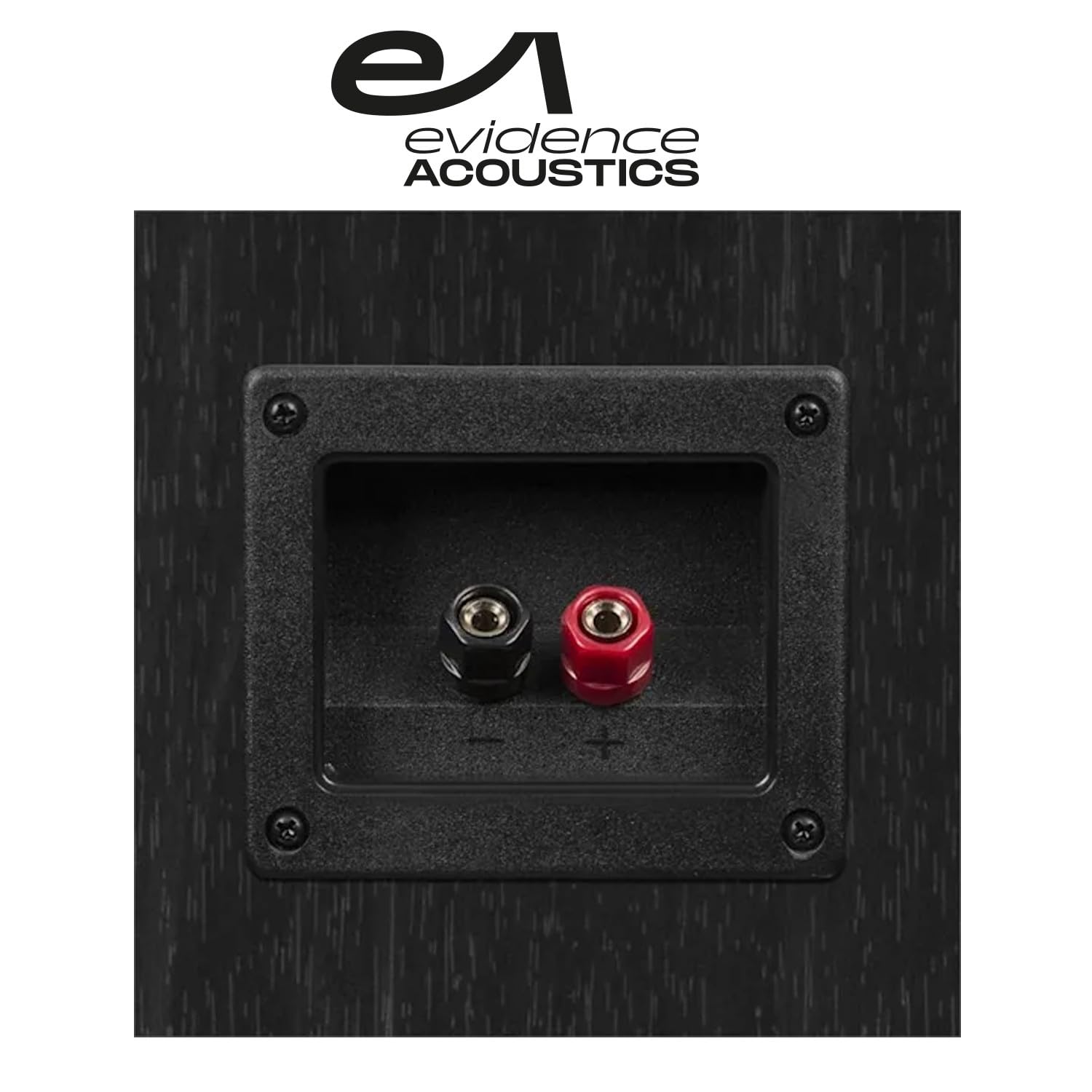 TLC Paire d'enceintes HiFi/Home-Cinéma 2x500W L766-BK