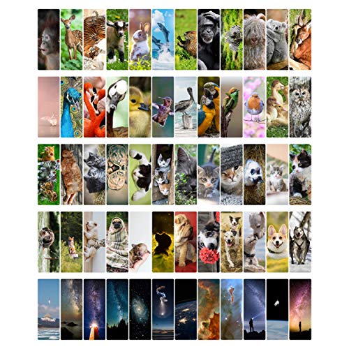 Livin Harmony Cool Kids Bookmarks Set of 60 || Cute Animal Bookmarks for Book Lovers | Unique Book Marks for Kids, Boys, Women, Girls | Bulk Bookmarkers for Party Favors | Book Club Gifts for Students