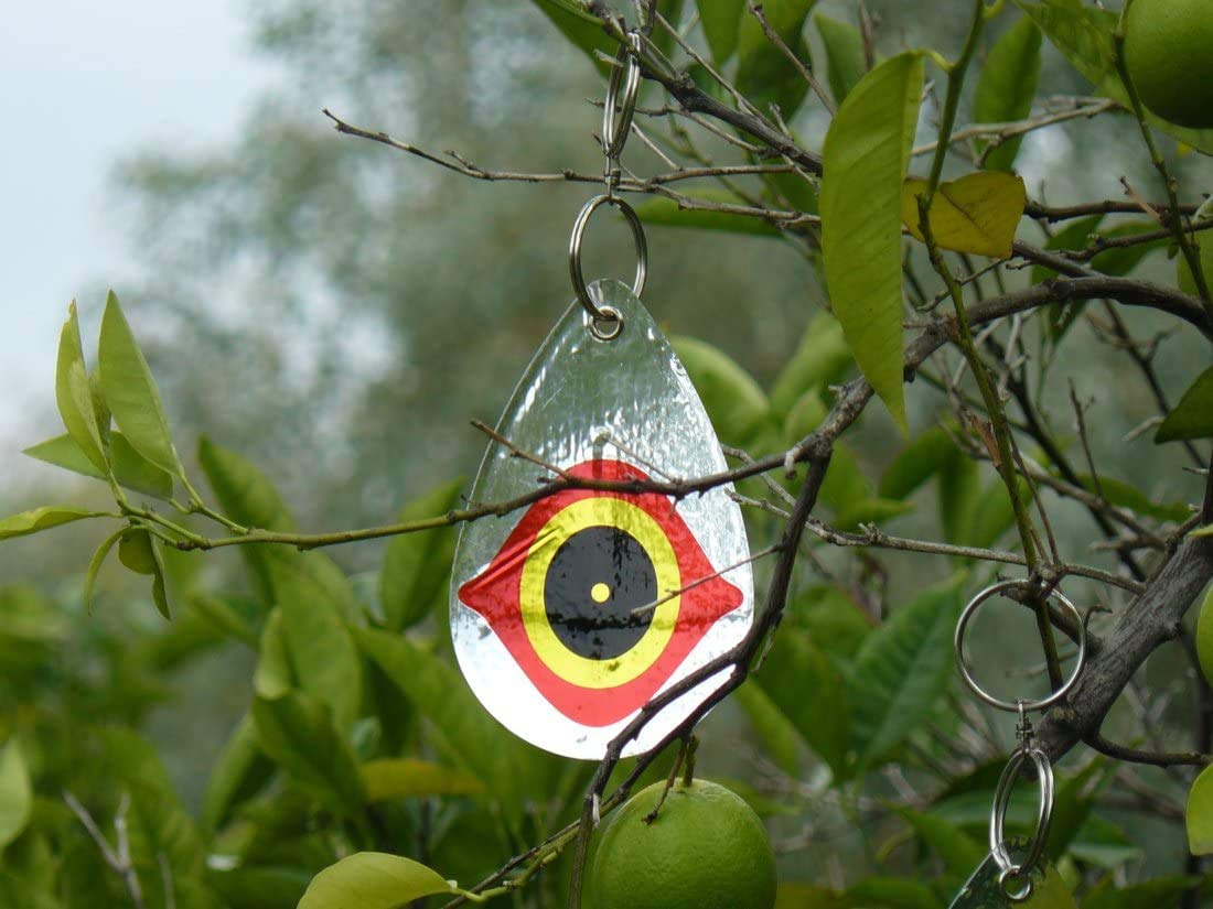 SCARE EYE DIVERTERS 5PK