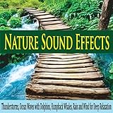 Robbins Island Music