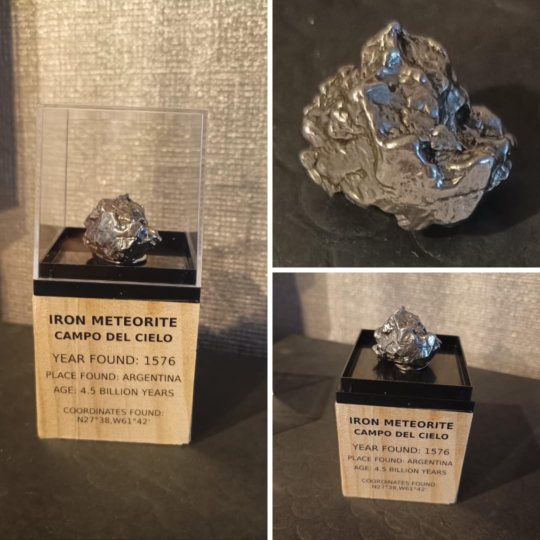 Meteorito Campo del Cielo – Meteorito de Hierro en Pantalla de Madera – Encontrado en 1576 – 4,5 mil millones de años – Regalo para coleccionistas & Aficionados al espacio