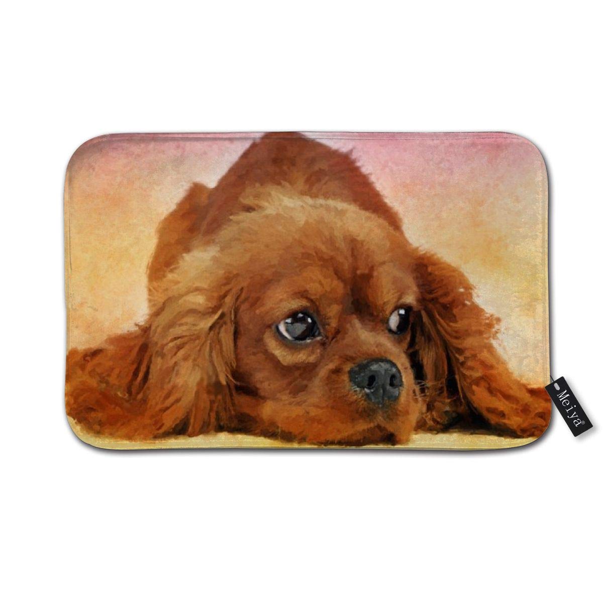 Sotyi-ltdCavalier king charles spaniel Doormat Entrance Mat Floor Mat Rug Indoor/Front Door/Bathroom/Kitchen and Living Room/Bedroom Mats 23.6"(L) x 15.7"(W)