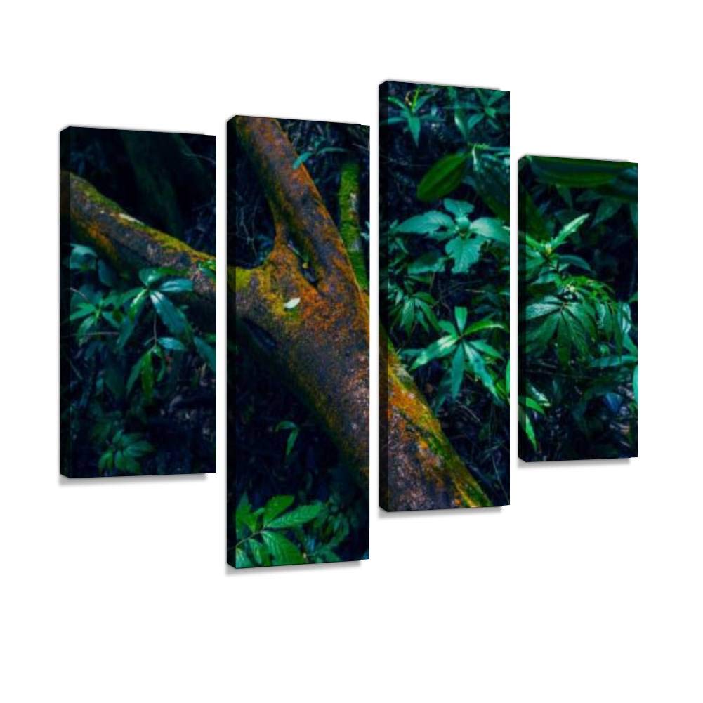 MoJoM Canvas Print Artwork kepler track hiking trail in new zealand south island fern forest Wall Art Pictures Framed Digital Print Abstract Painting Room Home Office Decor Ready to Hang - 4 Panel