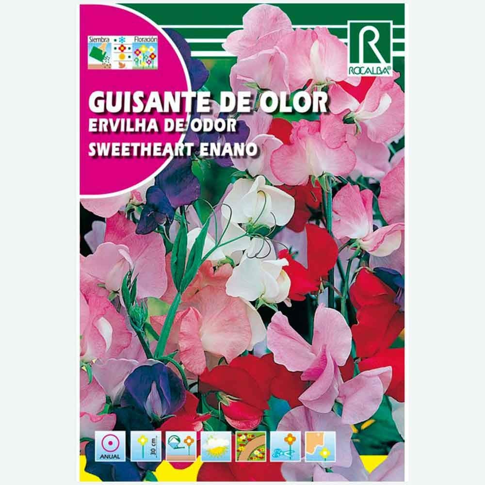 GUISANTE DE OLOR SWEETHEART ENANO - SOBRE DE SEMILLAS 3G