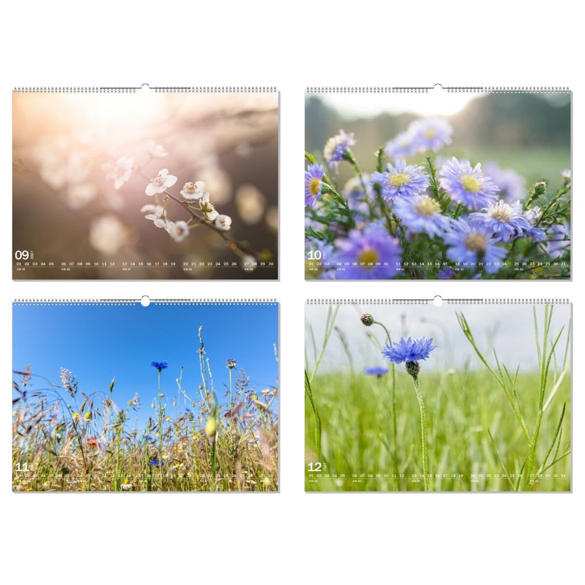 artboxONE Kalender 2027 Blumen mitten in der Natur Wandkalender A2 2027 Floral