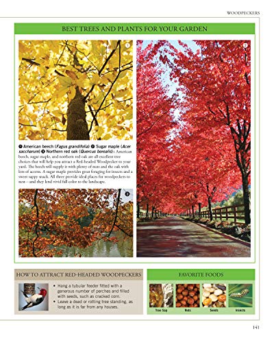 Garden Secrets for Attracting Birds, Second Edition: A Bird-by-Bird Guide to Favored Plants (Creative Homeowner) Turn Your Yard into a Pollinator Paradise for Hummingbirds, Sparrows, Finches, and More - Image 7