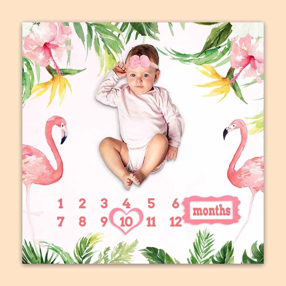 Monthly Milestone Blanket for Baby Girl, Pink Flamingo Tropical Palm Leaf Growth Chart Blanket Baby Pictures, 47″x47″ New Born Photography Backdrop 1-12 Months 4 Frames, 1 Headband, BTXTPH165 Monthly Milestone Blanket for Baby Girl, Pink Flamingo Tropical Palm Leaf Growth Chart Blanket Baby Pictures, 47″x47″ New Born Photography Backdrop 1-12 Months 4 Frames, 1 Headband, BTXTPH165