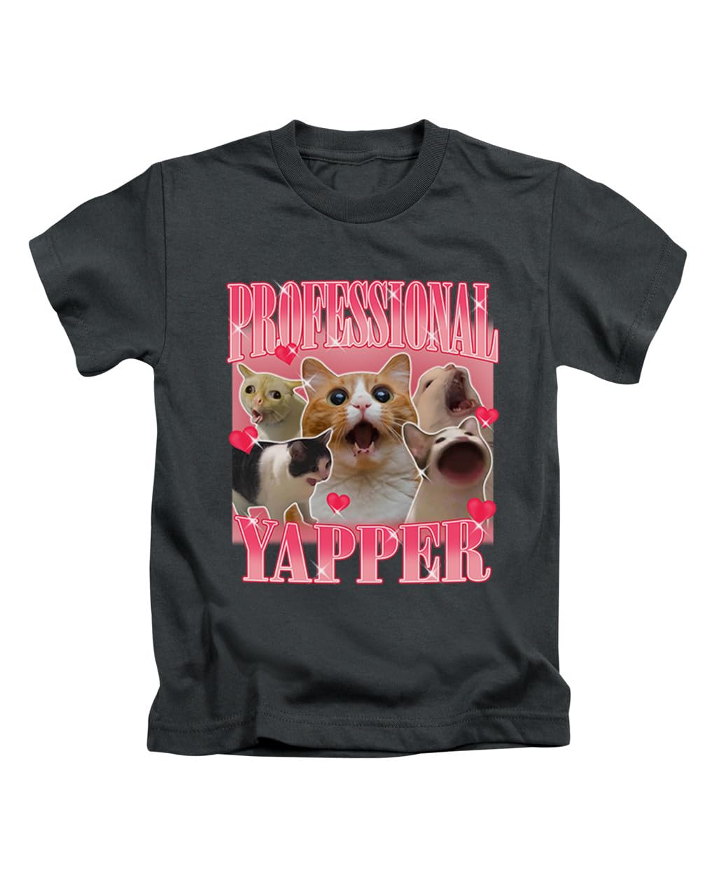New Spirit Original Unisex Black Cat Professional Yapper Meme Novelty Iconic Funny Humour Joke Cats Tee T-Shirt Funny T Shirt Top