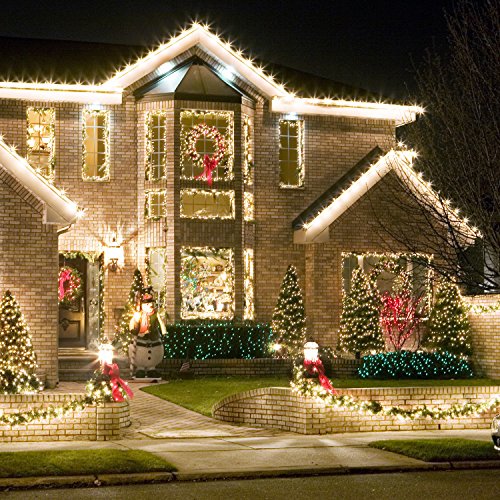 Holiday Essence Led Christmas Lights 60 Faceted Led String Lights Set C6 Green Wire Indoor And Outdoor Decoration, Patio And Christmas Tree Energy Efficient Led Bulbs, Ul Listed Cool White #TOP2