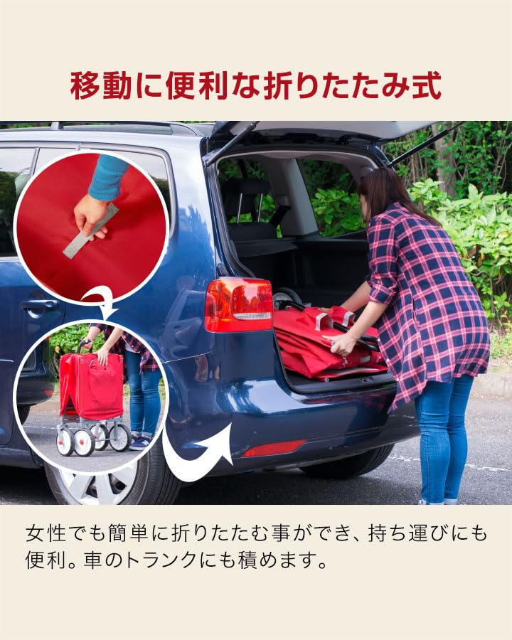 Amazon.co.jp: Radio Flyer ラジオフライヤー キャノピー付き 3-in-1