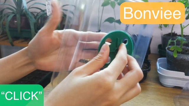 5-Pack-Seed-Starter-Tray-Seedling-Starter-Kits-Plant-Starter-Kit-with-Humidity-Domes-and-Base-Indoor-Greenhouse-Mini-Propagator-Station-for-Seeds-Growing-Starting-12-Cells-per-Tray-Green 5-Pack-Seed-Starter-Tray-Seedling-Starter-Kits-Plant-Starter-Kit-with-Humidity-Domes-and-Base-Indoor-Greenhouse-Mini-Propagator-Station-for-Seeds-Growing-Starting-12-Cells-per-Tray-Green