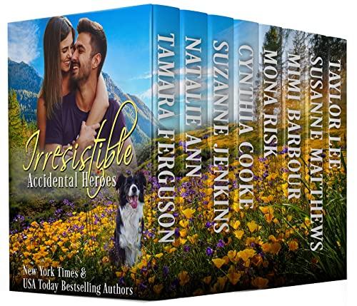 IRRESISTIBLE ACCIDENTAL HEROES (English Edition)