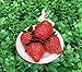 Aliotech 18PCS Plastic Artificial Red Strawberries Fake Lifelike Simulation Realistic Strawberry Artificial Fruits Decoration Photography Prop for Home Kitchen Decoration