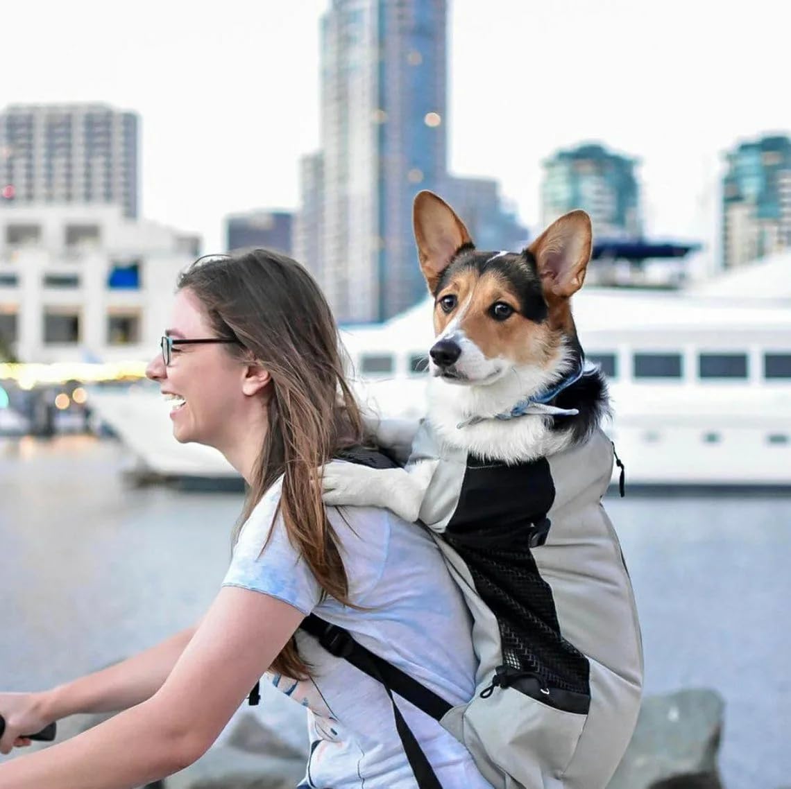 PETCUTE Hundetasche Hundetransporttasche Tragetasche füR Hunde Katzen Wanderrucksack Seite Atmungsaktives Netz Rucksack füR Mittel Hunde Katzen bis zu 10 kg