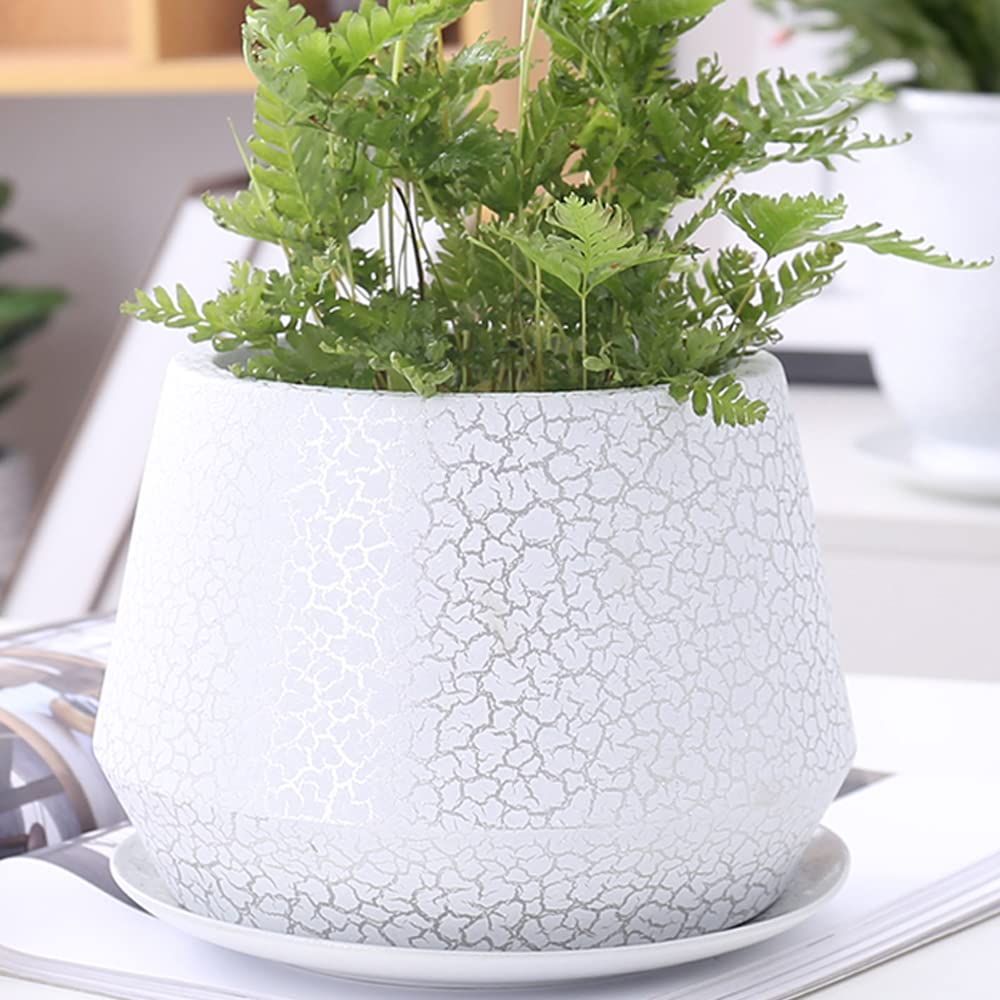 DFGHNBVC Flower Pot Cylindrical Breathable Permeable Succulent Green Rose Flower Pot Cactus Green Plant Desktop Creative Crack Ceramic Flower Pot