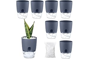 Self Watering Planter with Decorative Stones - Set of 8 Indoor Plant Pots