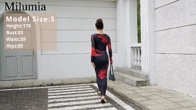 Milumia Women's Spring Wedding Guest Dress Floral Long Sleeve Maxi Dresses  Cocktail Party Black Small at Amazon Women's Clothing store